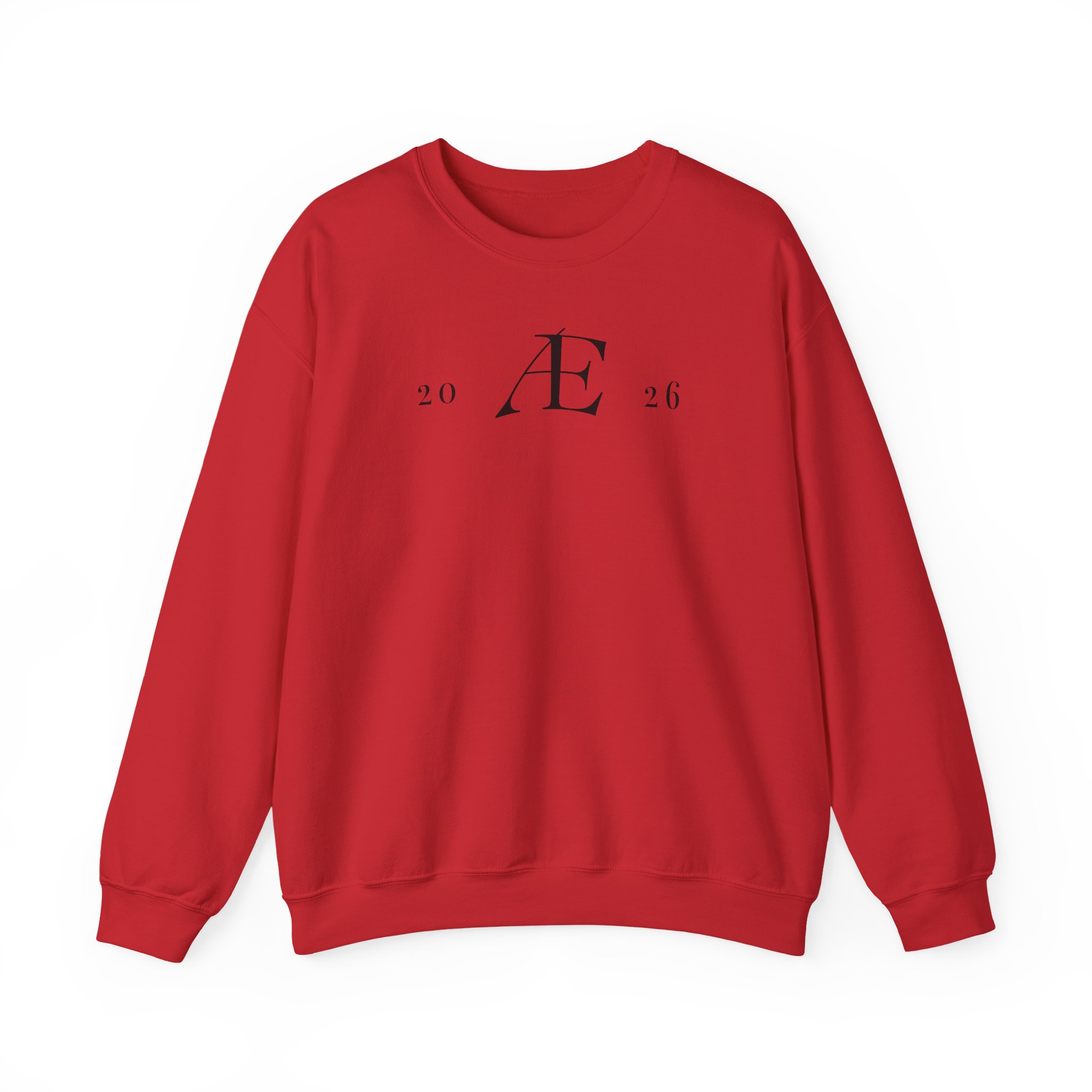 Men's Minimalist 'Æ 2026' Crewneck Sweatshirt – Classic White Monogram Pullover - Image 78